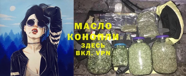 молекула духа Верхний Тагил